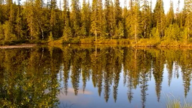 Клуб Ирбис - видео презентация смотреть онлайн
