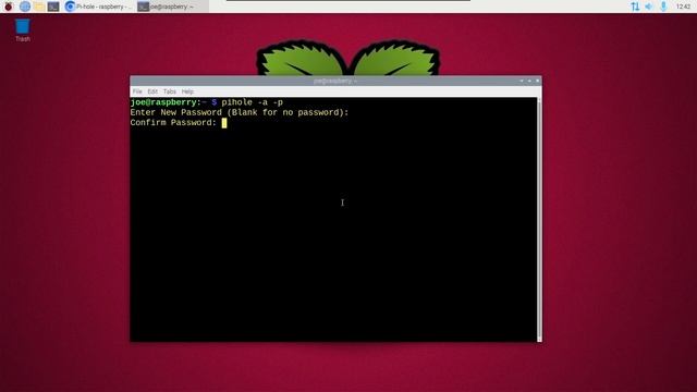 Reset Pi Hole Web Interface Admin Password смотреть онлайн