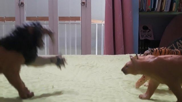 a big cats pride ~• Episode 1 •~ смотреть онлайн