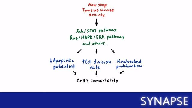 USMLE Step 1 - Филадельфийская хромосома EXPLAINED смотреть онлайн