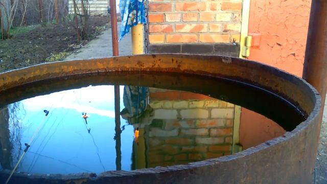 Рыбалка в бочке часть 4 смотреть онлайн