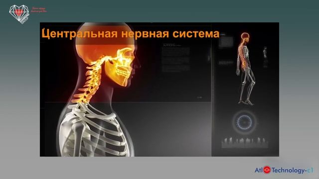 Очень подробно про Атлант