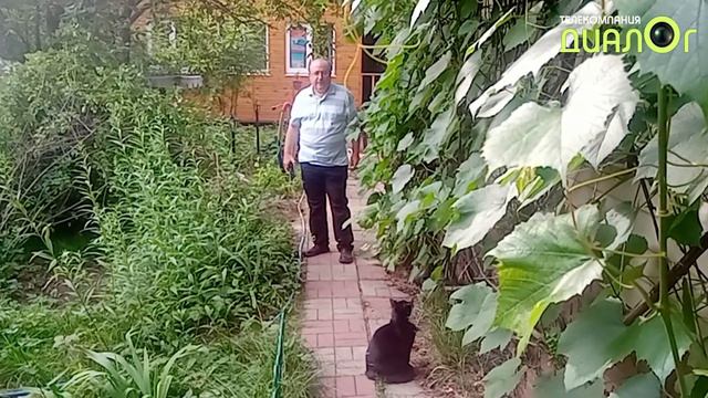 Юрий Милорава в Быково (Видеоблог Евгения Степанова) смотреть онлайн