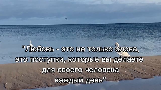 ПЕРЕСТАНЬ ЖИТЬ ПО ЧУЖИМ ПРАВИЛАМ! 30 ЦИТАТ О СЕМЬЕ И ОТНОШЕНИЯХ! смотреть онлайн