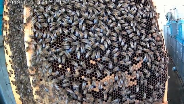 Без Ганемановской решётки нет промышленной технологии.Метод применения разделительных решёток.