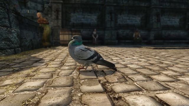YOU VE GOT THE POWER - Skyrim Mods & More Episode 56 смотреть онлайн