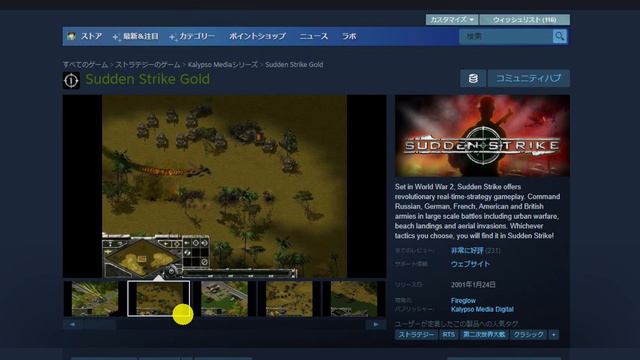 【Steam福袋】AAAタイトル入ってます…ファナティカル「Mystery Vault Bundle 3」にチャレンジ смотреть онлайн