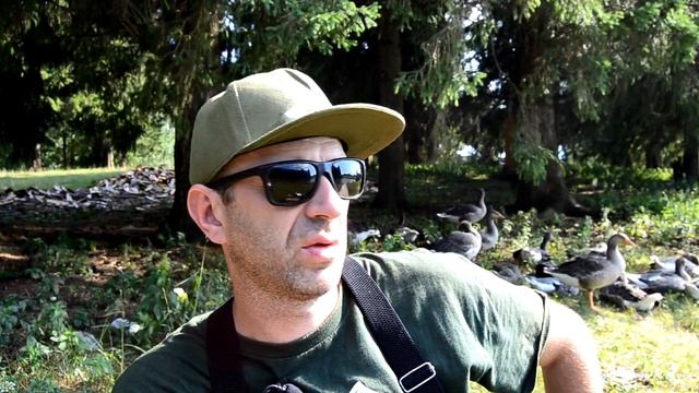 КАК ПОЙМАТЬ КАРПА В КОРЯГАХ