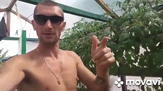 Питательный раствор когда делать замену | Гидропонная установка NFT смотреть онлайн