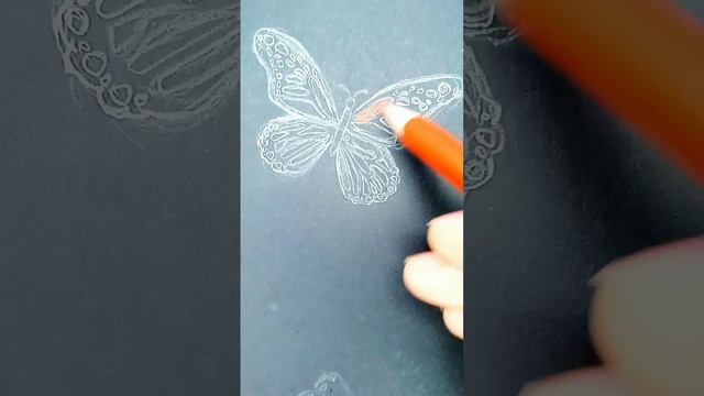 яркие бабочки карандашом #pancildrawing #рисуноккарандашом #бабочки #черныйфон #batterfly смотреть онлайн