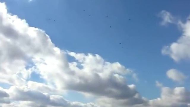 Харьков,Залютино,Вороны кружат.AVI смотреть онлайн