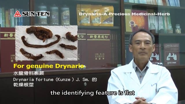 Drynaria - A precious Medicinal Herb for Vegetarian смотреть онлайн