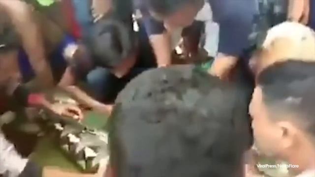 30 Feet Python swallowed women and human cut it open смотреть онлайн