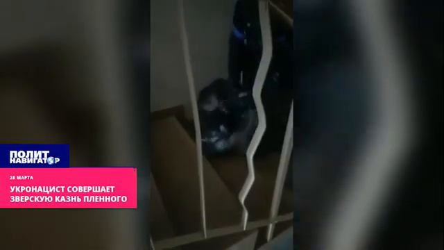 Укронацист совершает зверскую казнь пленного 18+ / Ukr performs a brutal execution of a prisoner 18 смотреть онлайн