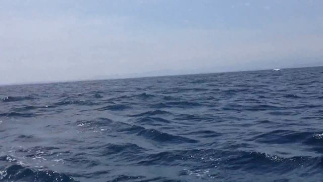 Танец кита на тихом океане Эквадор смотреть онлайн