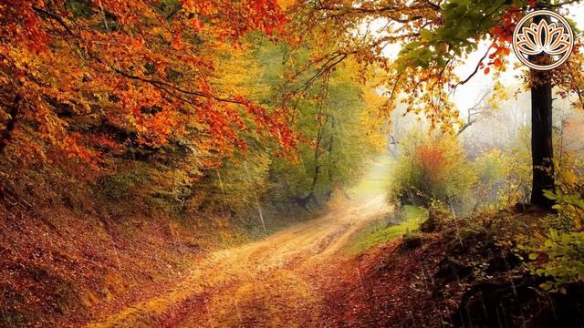 Шум_осеннего_дождя_в_лесу,пение_птиц._Медитация смотреть онлайн