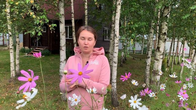 КАК ВЫСТАВЛЯТЬ ГРАНИЦЫ ДЕТЯМ. смотреть онлайн