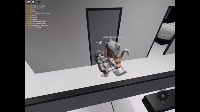 Millie the cat’s birth to death! Roblox pet party roll-play смотреть онлайн