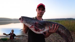 СОМЫ КЛЕВАЛИ МОЩНО И ВСЮ НОЧЬ / ЖОР СОМА /Рыбалка на донки