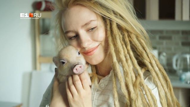 Свинка Джузеппа из Екатеринбурга стала популярней хозяйки смотреть онлайн