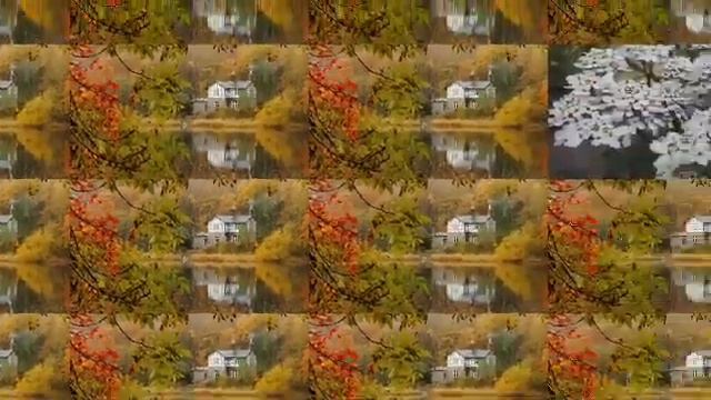 ГОРИТ КАЛИНЫ ЦВЕТ.. ИСПОЛНЯЕТ ВАЛЕРИЙ ЯЦЕНКО. СОЗДАТЕЛЬ РОЛИКА ЛЮДМИЛА БУДКОВА смотреть онлайн