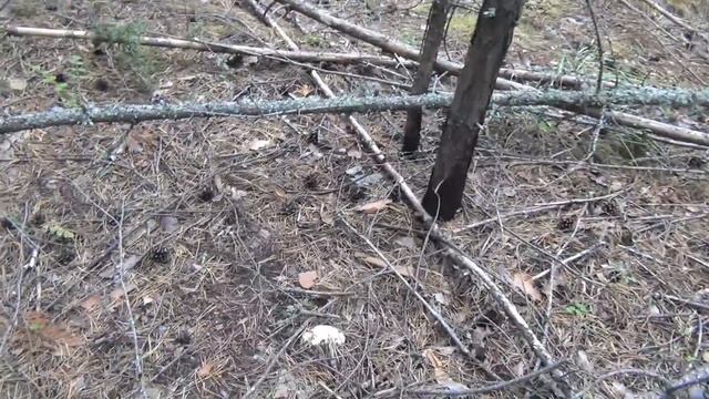 Рецепты Здорового Питания