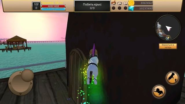 Симулятор Кота Жизнь Животных #5 Обновление. Пляж Cat Simulator на пурумчата смотреть онлайн