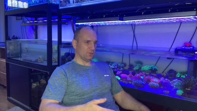 "Рифовый Аквариум" ОВП и Крипт. Часть 20 смотреть онлайн