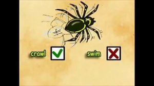 3 класс. Урок 32 (урок 10а) "Clever animals!"  по модулю 5 "Furry friends!" по учебнику Spotlight