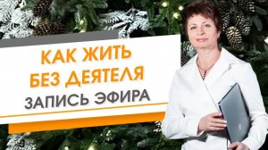Как жить без деятеля. Запись эфира. Елена Ачкасова