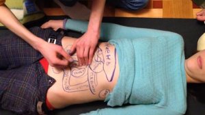 Компаниец, висцеральный  массаж