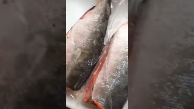 Кижуч тушка смотреть онлайн