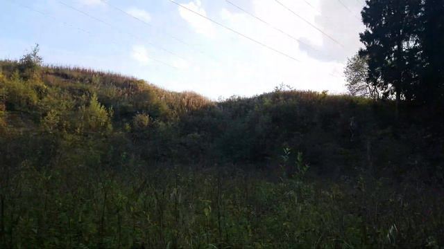 Как мы ходили к Река Малая Истра (Пирогово) смотреть онлайн