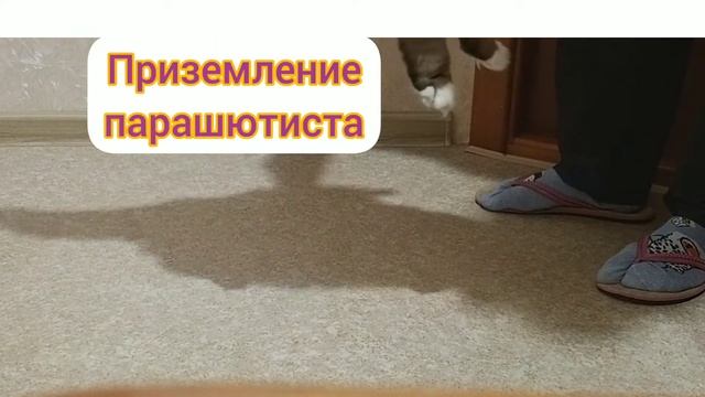 Мастерская творчества