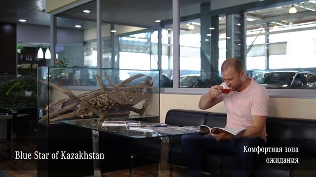 Сервис грузовых автомобилей в Blue Star of Kazakhstan смотреть онлайн