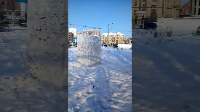 Зеленый остров города Омска в 2019г, ПОЗОР