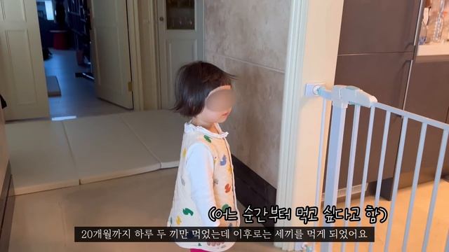 [일상 브이로그] 둘째가 생겼어요! (첫째 반응, 공포의 입덧, 둘째 임신 증상, 임신 중기 영양제) смотреть онлайн