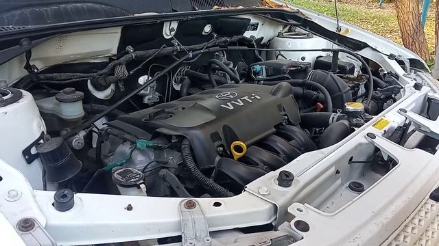 ТОЙОТА SUCCED . СКРЕЖЕТ ПРИ ЗАПУСКЕ НА ХОЛОДНУЮ. ЧТО МОЖЕТ БЫТЬ????