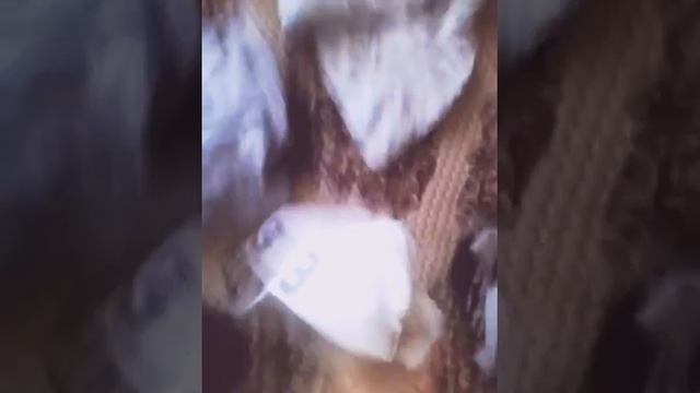 Обзор моего шмота хайповый шмот смотреть онлайн