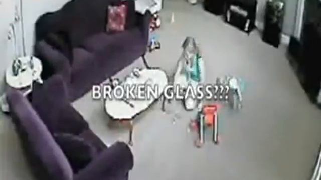 Cat attacks babysitter over broken glass смотреть онлайн