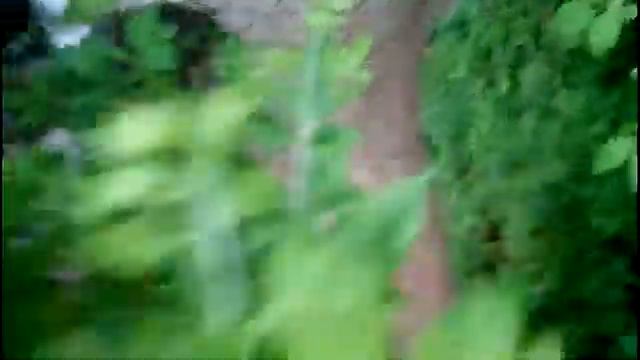 Единственный в Липецкой области Водопад Русанов ручей ,Задонский район смотреть онлайн