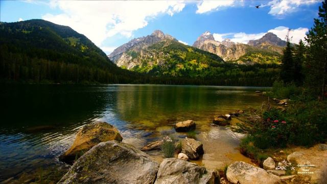 Unbelievable Sound of Native American Flute - Listen and Unwind! смотреть онлайн