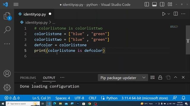 python Identity Operator for Beginner(Basic Info) смотреть онлайн