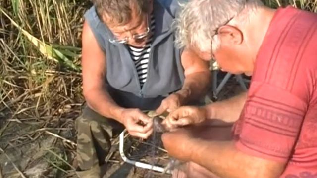 К верховьям Печенежского водохранилища (часть 2). смотреть онлайн