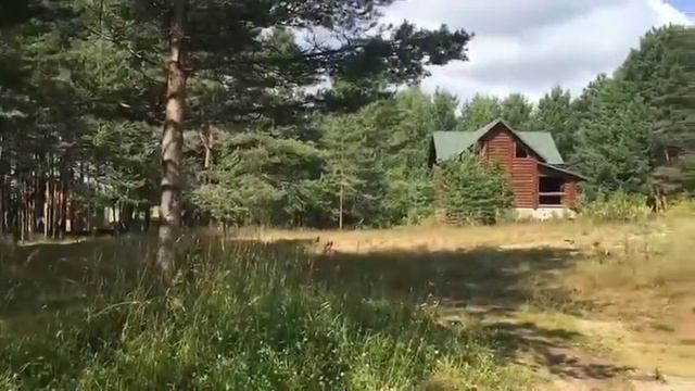 Зальцо участок смотреть онлайн
