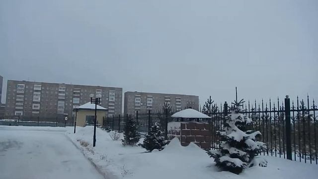 Когда нужно высаживать ёлочки? смотреть онлайн