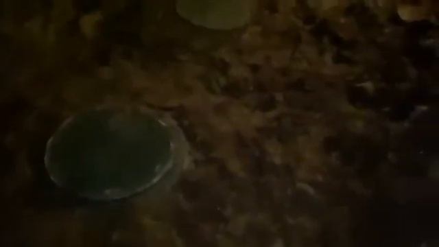 Отзыв по установке септика смотреть онлайн