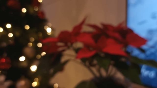 vlog 1/2024 | мое уютное новогоднее вязание ?✨️ новый процесс ? шикарный подарок от Тайного Санты смотреть онлайн