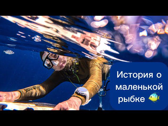 Фридайверы завели себе рыбку в море! смотреть онлайн