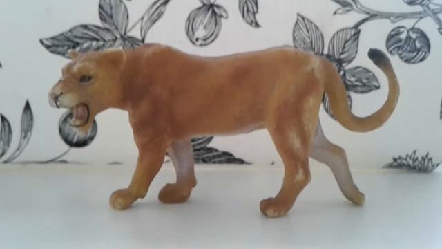 Почему редкие животные вямирают!? смотреть онлайн